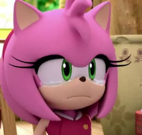 rose the hedgehog|amy rose crying sonic boom.